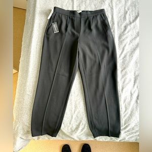 NWT Aritzia Babaton Conan Pant